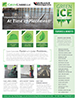 Green Ice Cure System